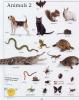 Macmillan Children�s Dictionary