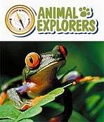 Animal Explorers - online ( 1 User)