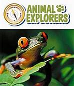 Animal Explorers - online ( 11 - 20 User)