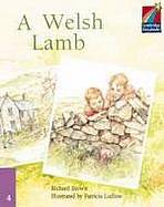 Cambridge Storybooks 4 A Welsh Lamb: Richard Brown