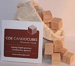 Can Do Cubes for English grammar (Home edition)