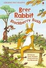 Usborne First Reading Level 2: Brer Rabbit and the Blackberry Bush