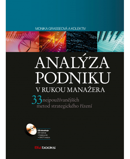 Analýza podniku v rukou manažera