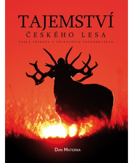 Tajemství českého lesa