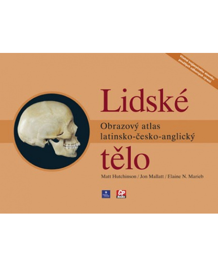 Lidské tělo