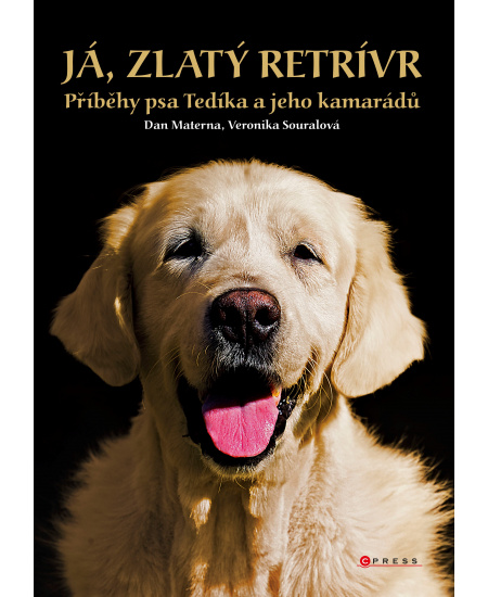 Já, zlatý retrívr