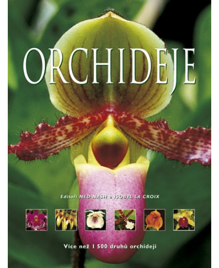 Orchideje