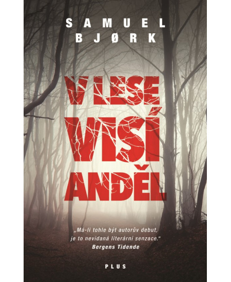 V lese visí anděl