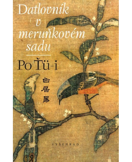 Datlovník v meruňkovém sadu