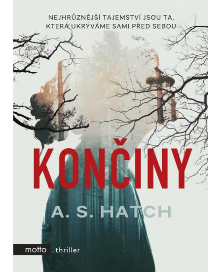 Končiny