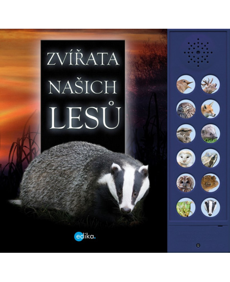 Zvířata našich lesů