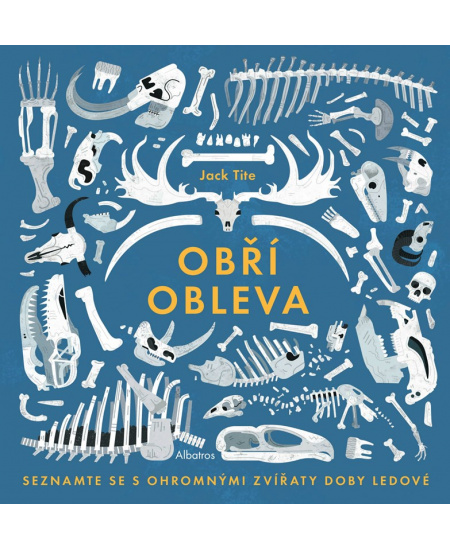 Obří obleva