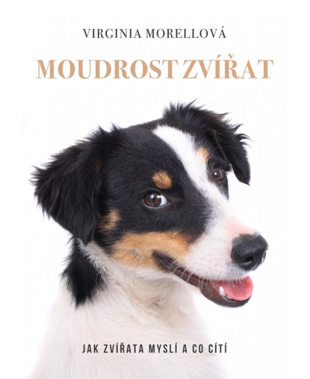 Moudrost zvířat