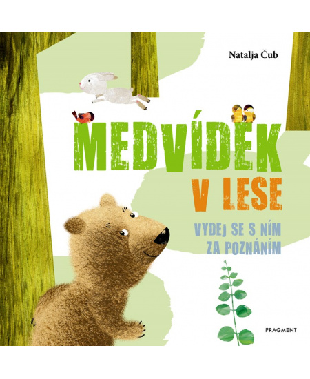 Medvídek v lese