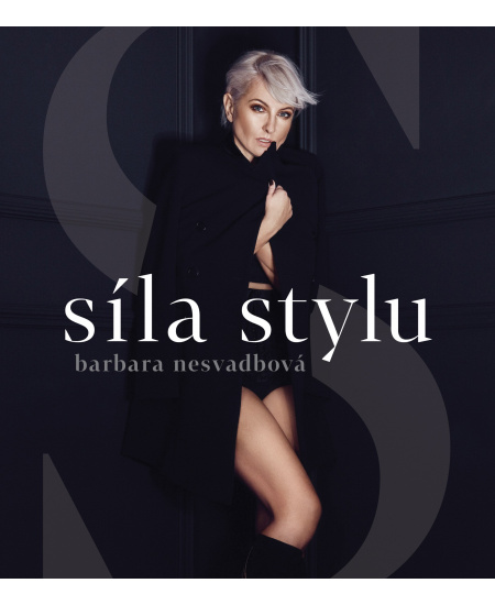 Síla stylu