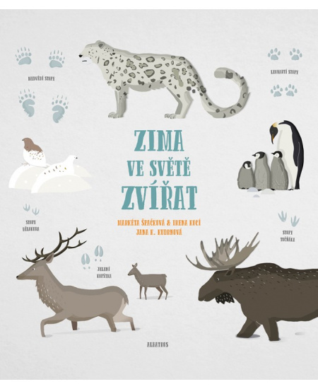 Zima ve světě zvířat