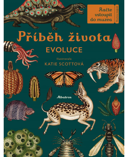 Příběh života
