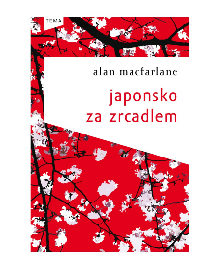 Japonsko za zrcadlem