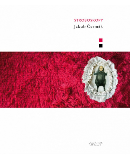 Stroboskopy
