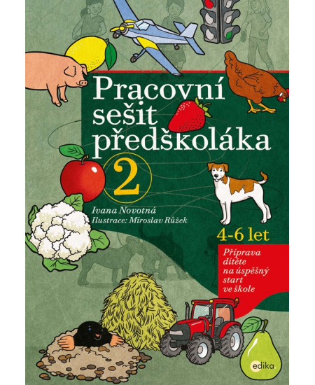Pracovní sešit předškoláka 2