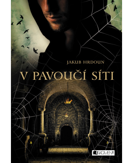 V pavoučí síti