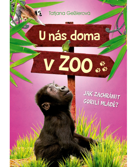 U nás doma v ZOO: Jak zachránit gorilí mládě?