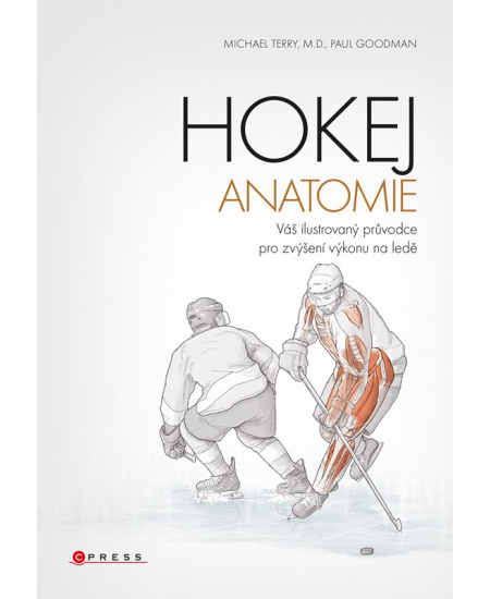 Hokej - anatomie