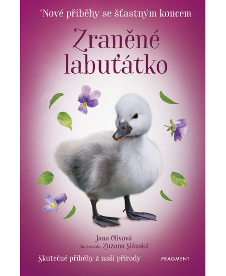 Nové příběhy se šťastným koncem – Zraněné labuťátko