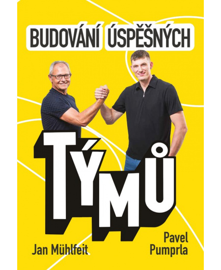 Budování úspěšných týmů