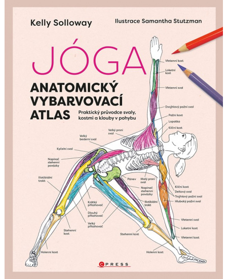 Jóga - anatomický vybarvovací atlas CPRESS