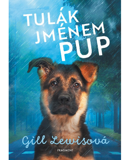 Tulák jménem Pup