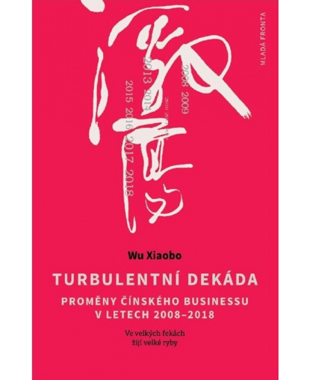 Turbulentní dekáda