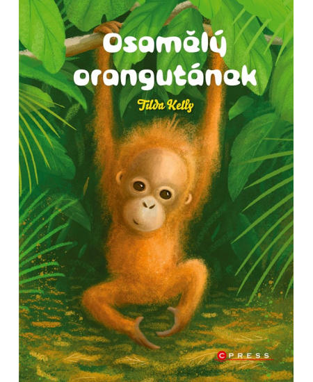 Osamělý orangutánek