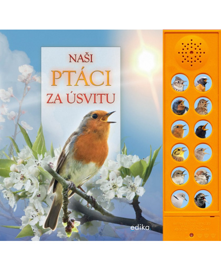 Naši ptáci za úsvitu