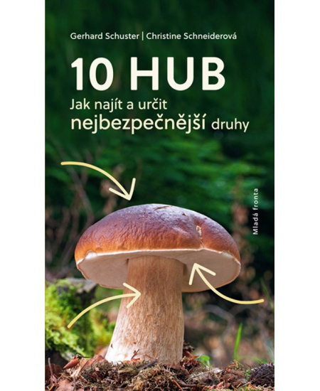 10 hub