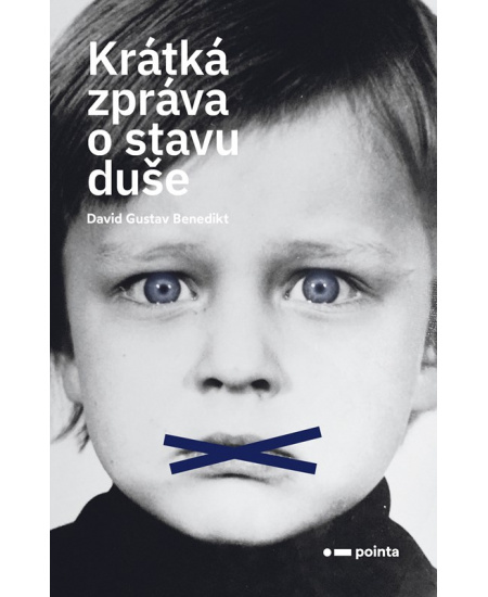 Krátká zpráva o stavu duše