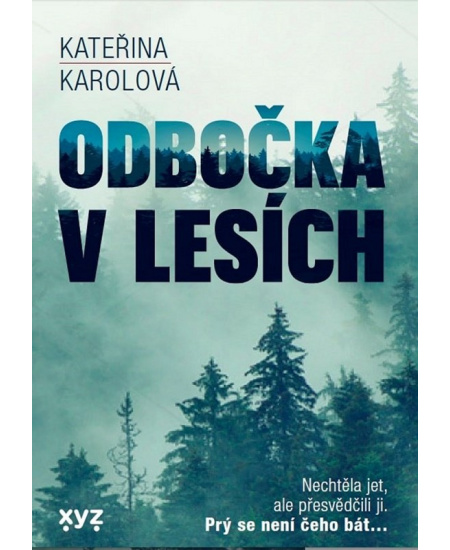 Odbočka v lesích