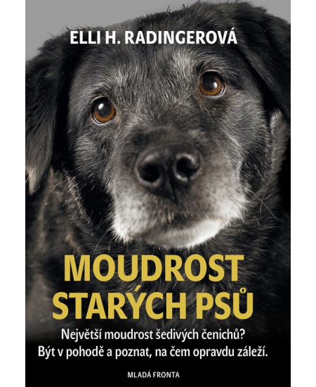 Moudrost starých psů