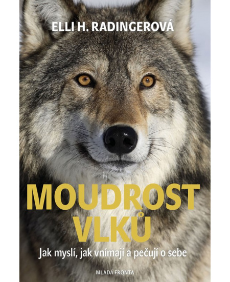 Moudrost vlků