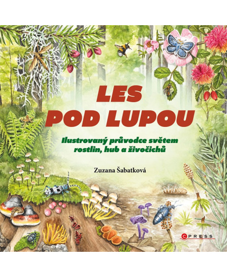 Les pod lupou