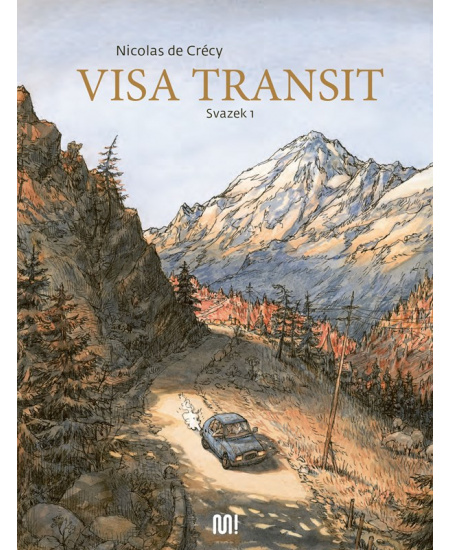 Visa transit