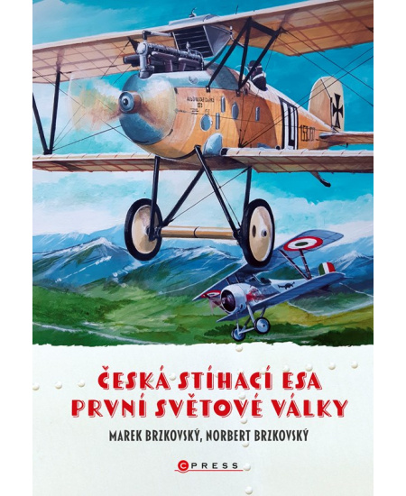 Česká stíhací esa první světové války