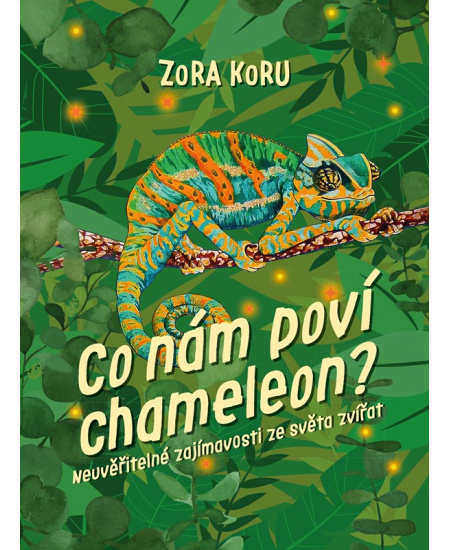 Co nám poví chameleon