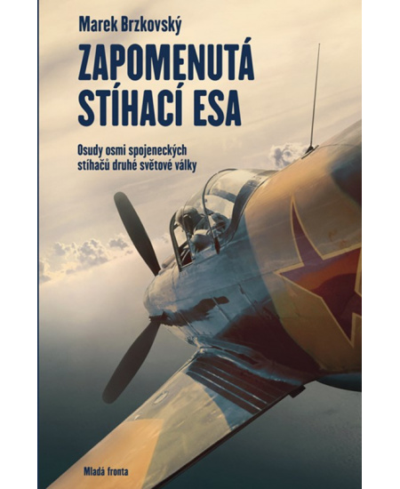 Zapomenutá stíhací esa