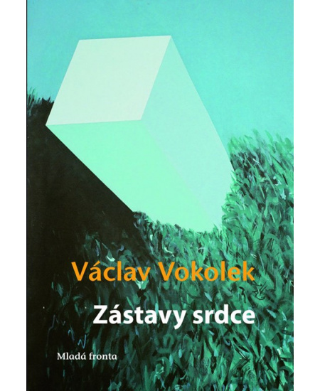 Zástavy srdce