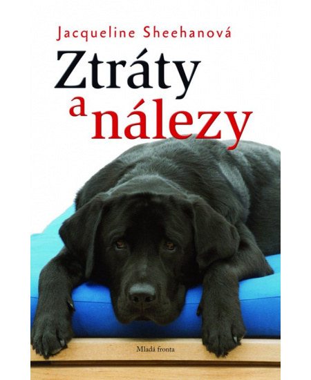 Ztráty a nálezy