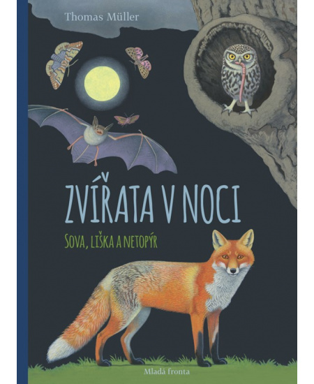 Zvířata v noci