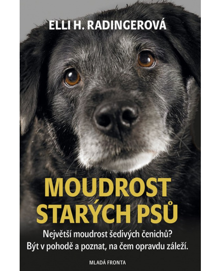Moudrost starých psů