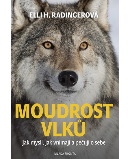 Moudrost vlků