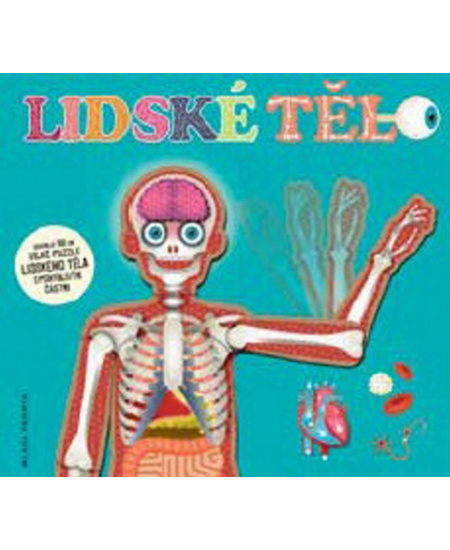 Lidské tělo